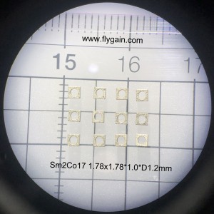 Micro Precision SmCo prstenový magnet pro mobilní motor